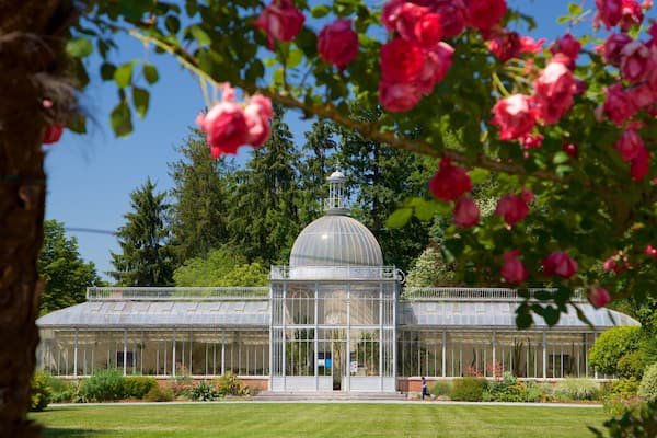 Jardin Massey montrant fleurs sauvages et jardin
