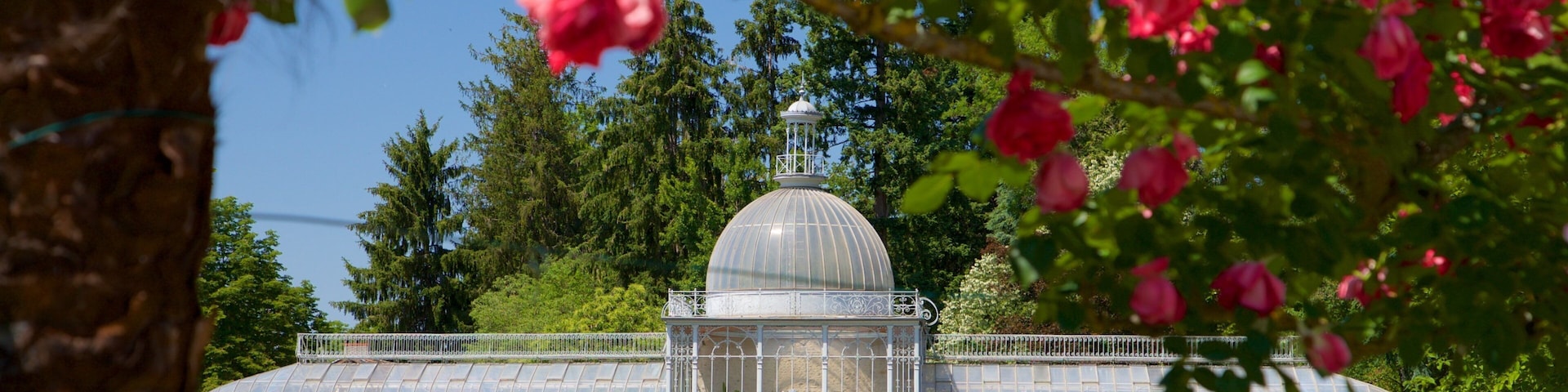 Jardin Massey que inclui um jardim e flores silvestres