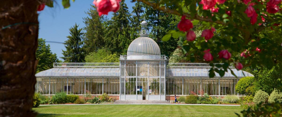 Massey Garden which includes wild flowers and a garden