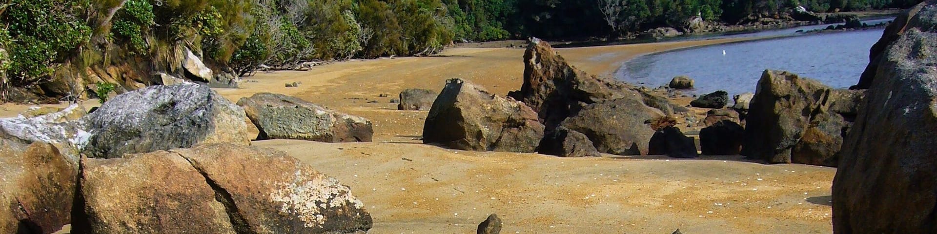 After getting the ferry to Stewart Island I got another ferry to Ulva Island. Beautiful