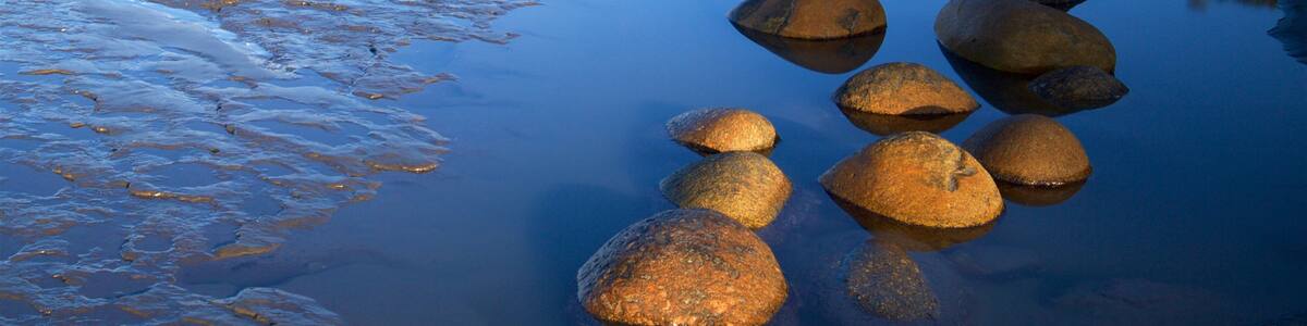 Westküste Neuseeland welches beinhaltet Felsküste