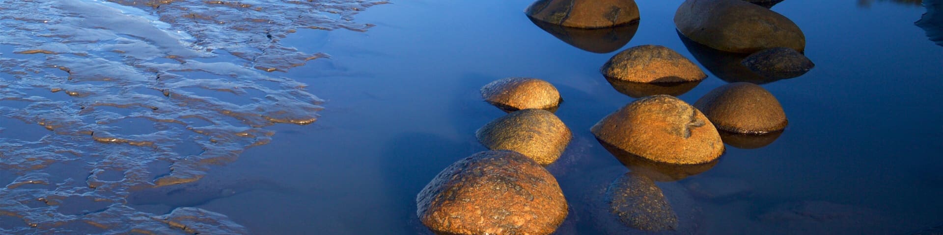 West Coast New Zealand featuring rugged coastline
