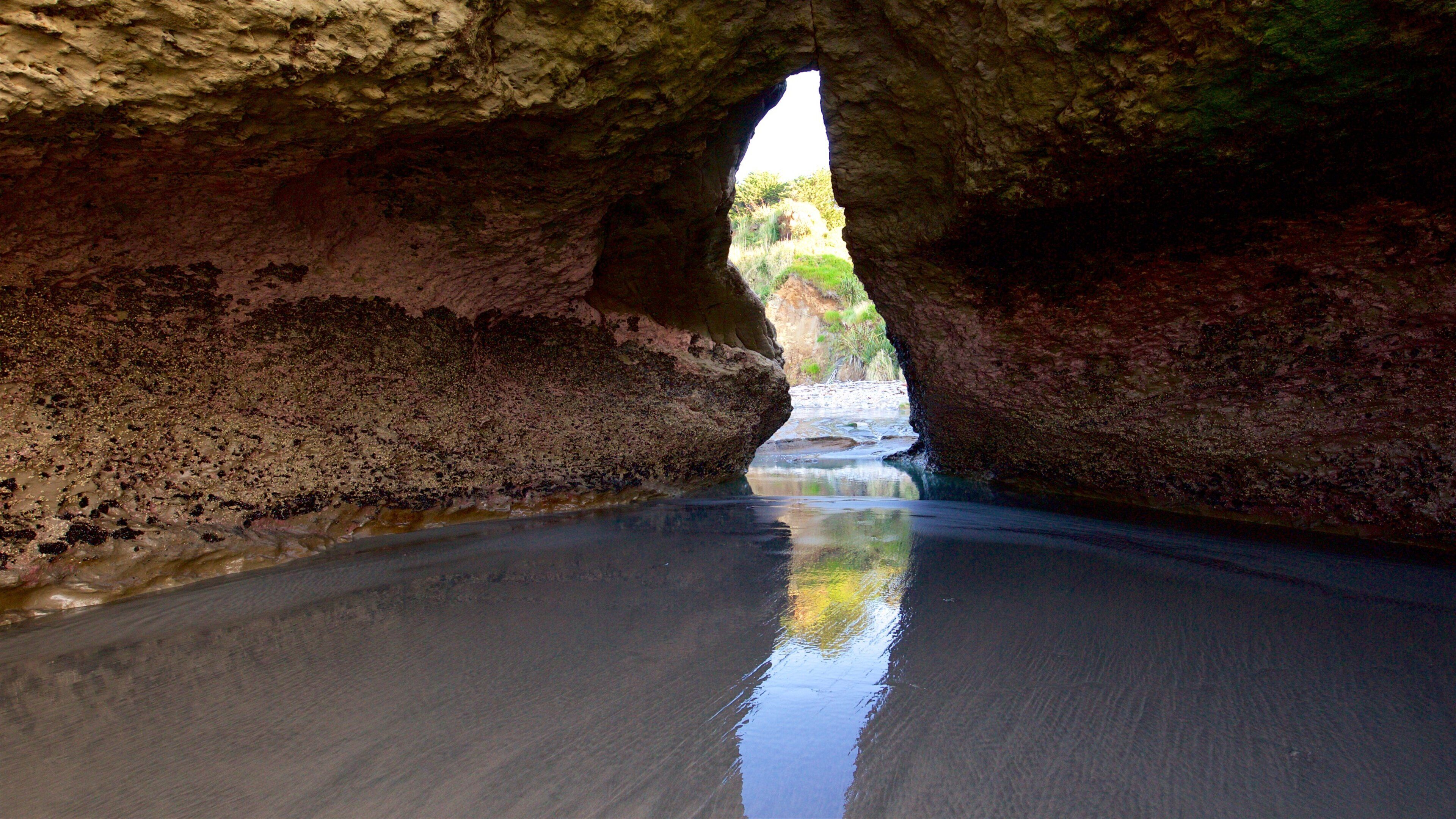 Cape Foulwind featuring a river or creek