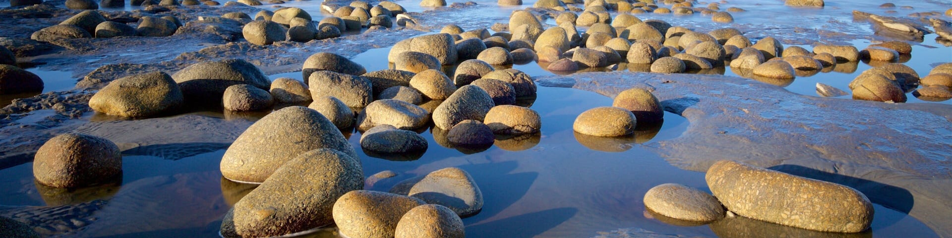 Cape Foulwind which includes general coastal views and rocky coastline