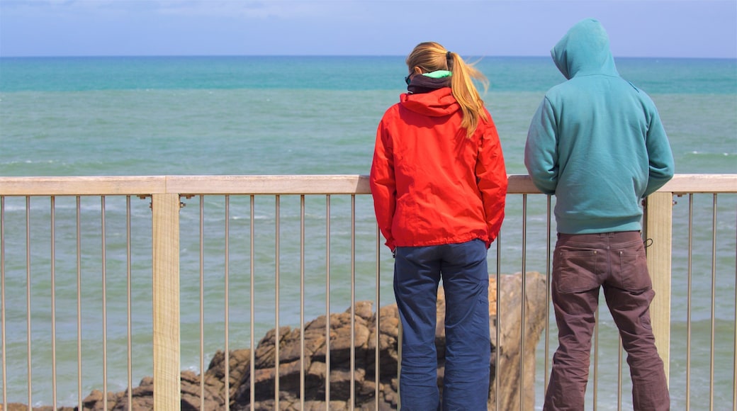 Tauranga Bay Seal Colony which includes general coastal views