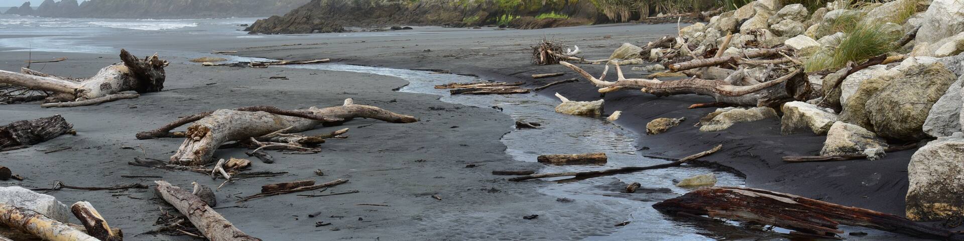 A rocky beach with driftwood and a cliff in the background.