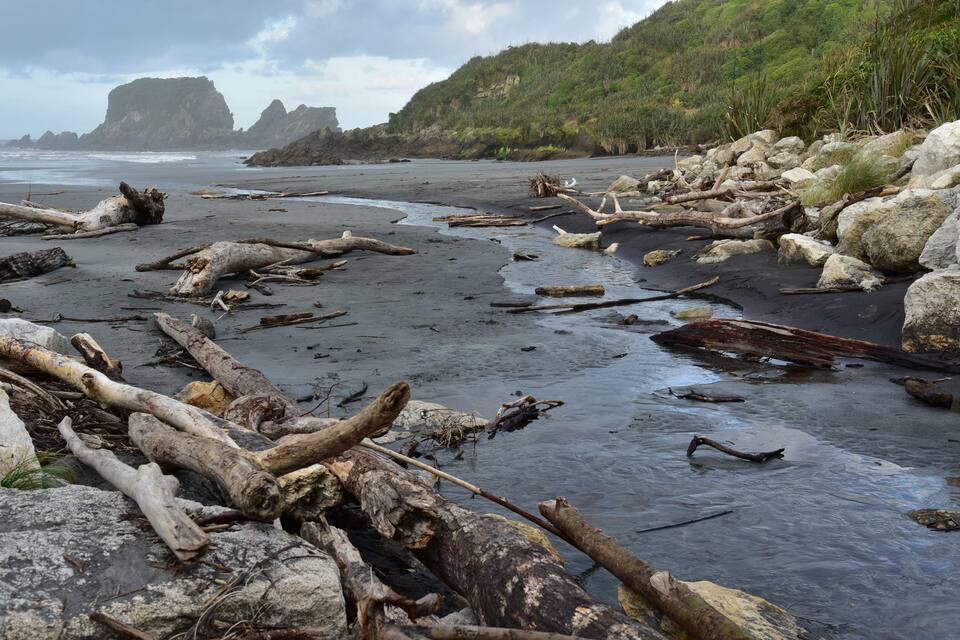 A rocky beach with driftwood and a cliff in the background.