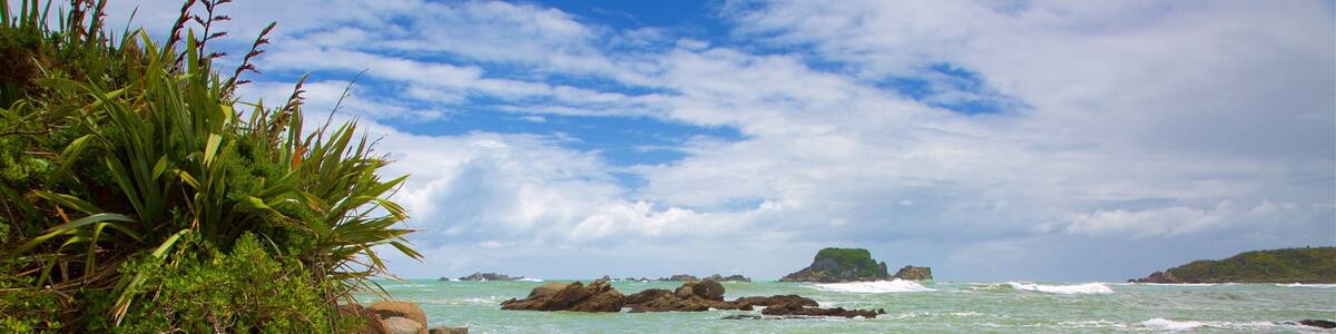 Tauranga Bay Seal Colony which includes a bay or harbor and rocky coastline
