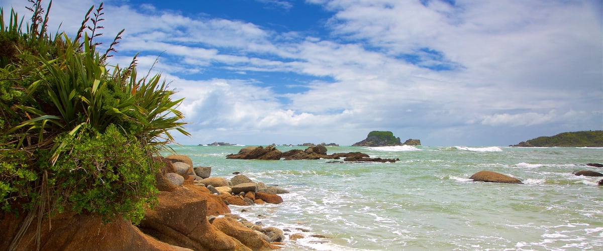Tauranga Bay Seal Colony which includes a bay or harbor and rocky coastline