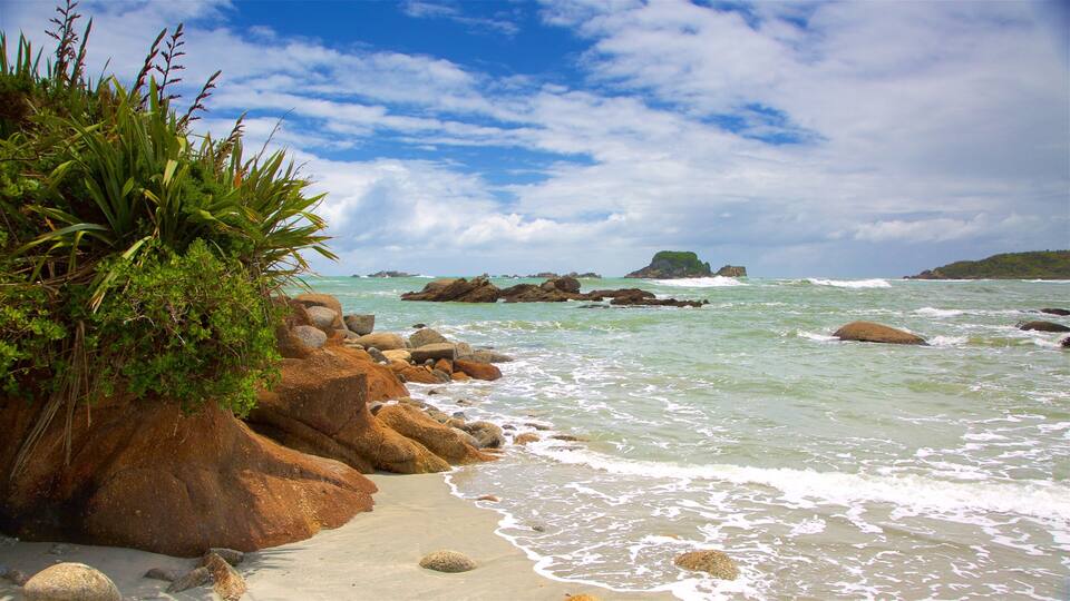 A rocky shoreline with waves, green vegetation, and distant rocky outcrops.