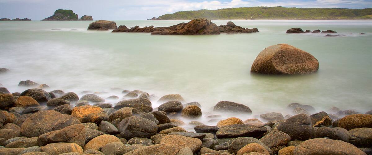 Tauranga Bay Seal Colony que incluye litoral rocoso