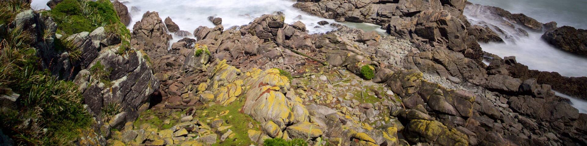 Tauranga Bay Seal Colony featuring rocky coastline and a bay or harbor