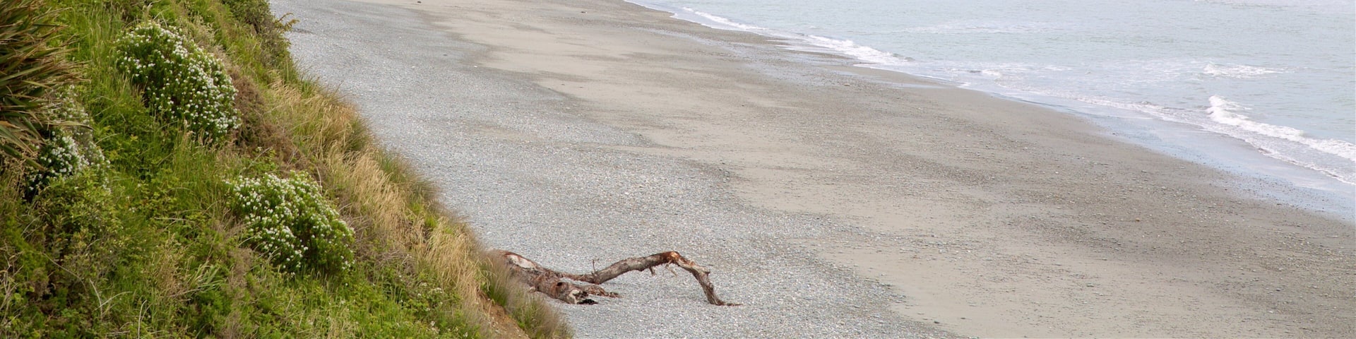 Rapahoe Beach mit einem Strand und ruhige Szenerie