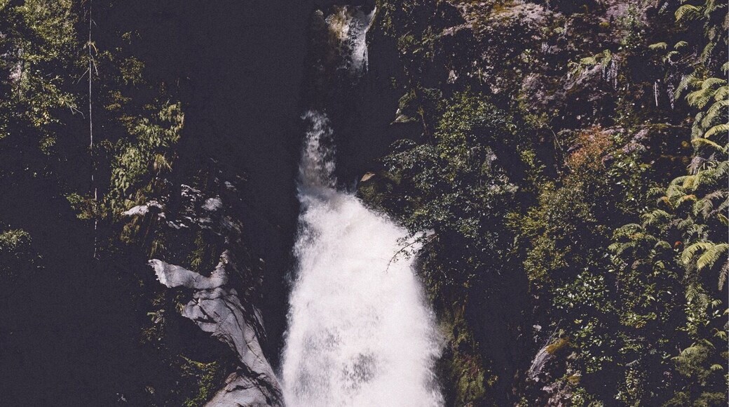 We drove out to Lake Kaniere with the intention of camping but instead stumbled upon what is now one of my favourite waterfalls here in New Zealand- Dorothy Falls