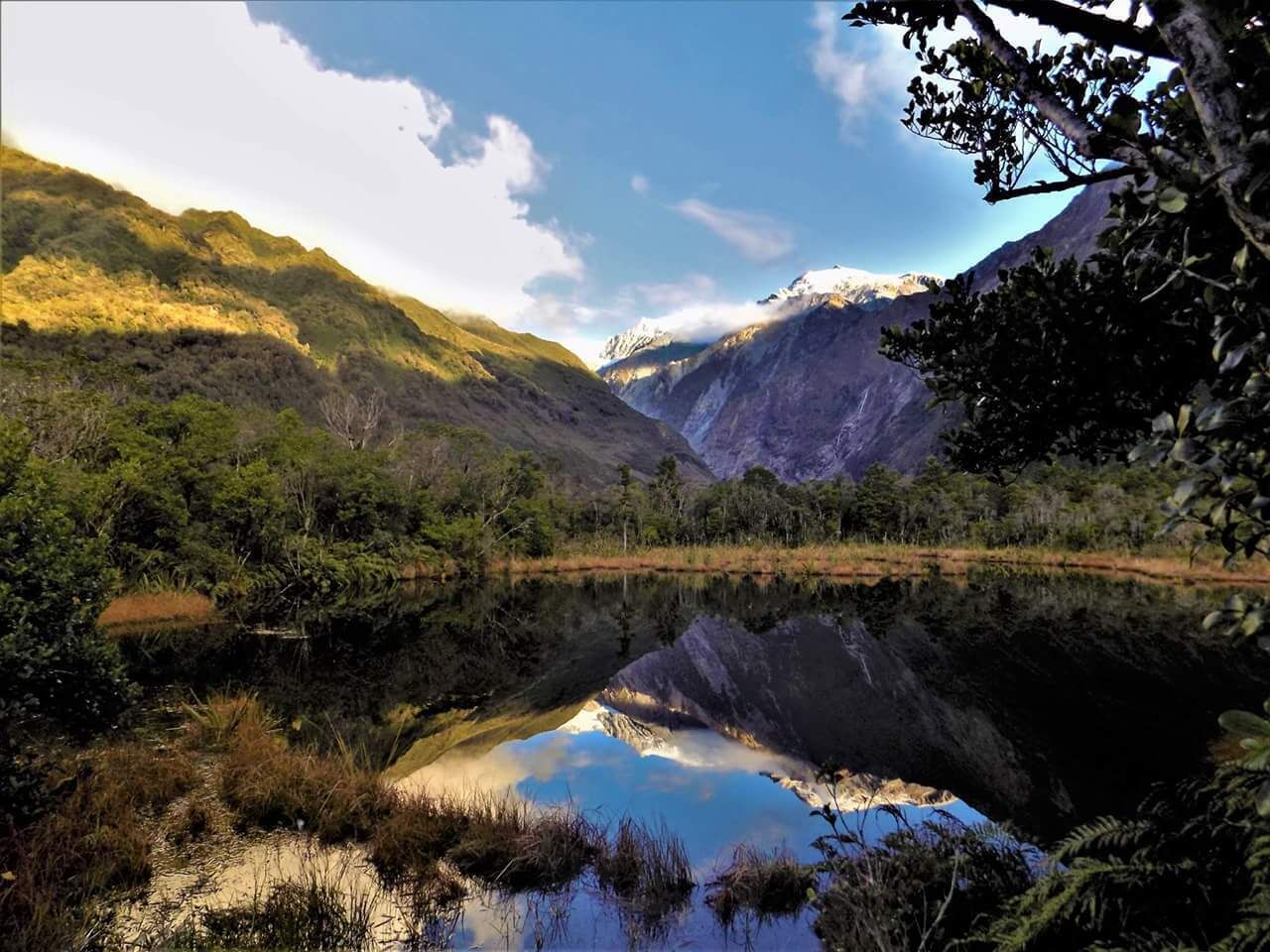 Easy hike to the bottom of Franz Joseph Glacier :)