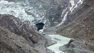 Fox Glacier showing a river or creek