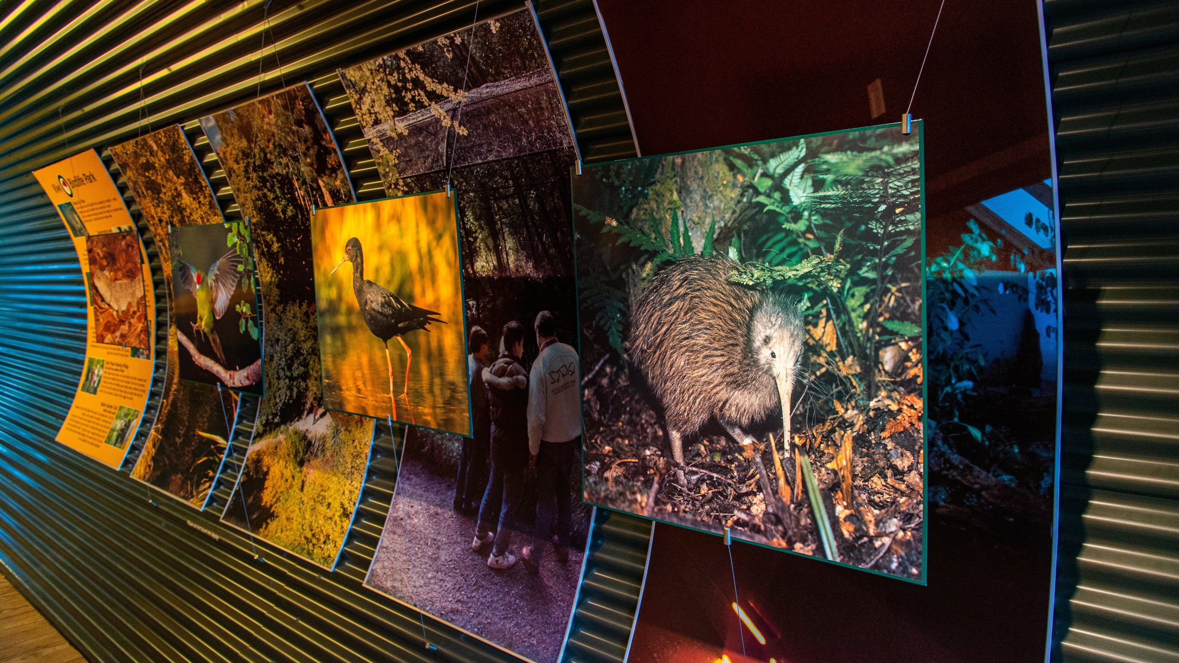 Kiwi and Birdlife Park featuring zoo animals and interior views
