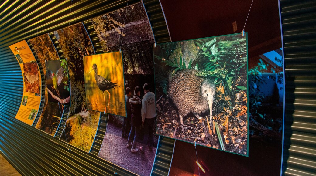 Kiwi and Birdlife Park featuring zoo animals and interior views