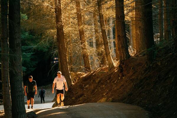 Bob\'s Peak featuring forest scenes and hiking or walking as well as a couple