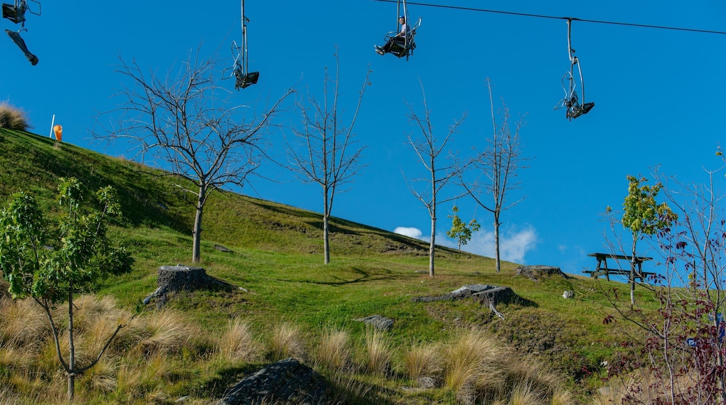 Bob\'s Peak which includes a gondola and a park