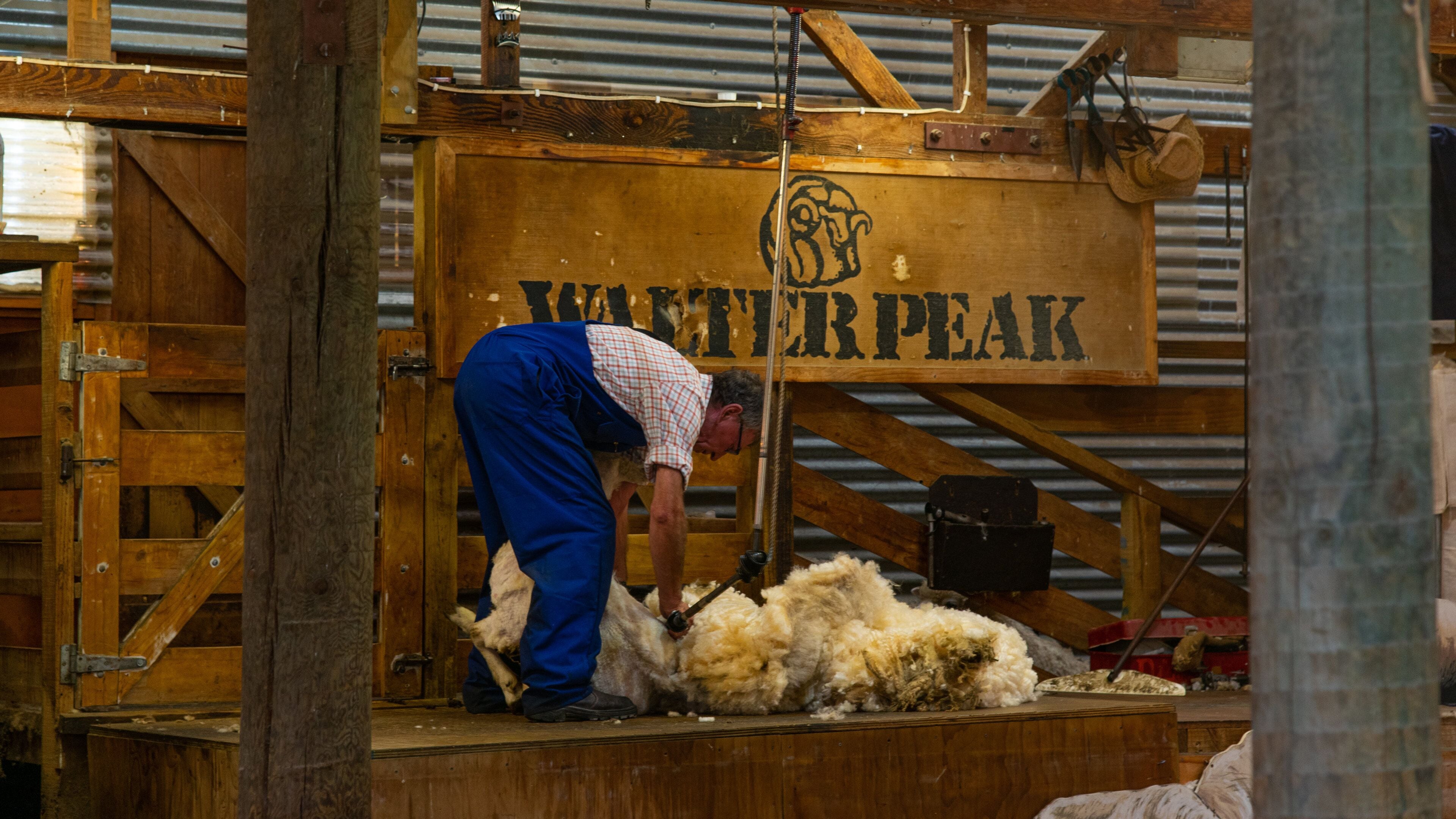 Walter Peak High Country Farm which includes farmland, interior views and land animals