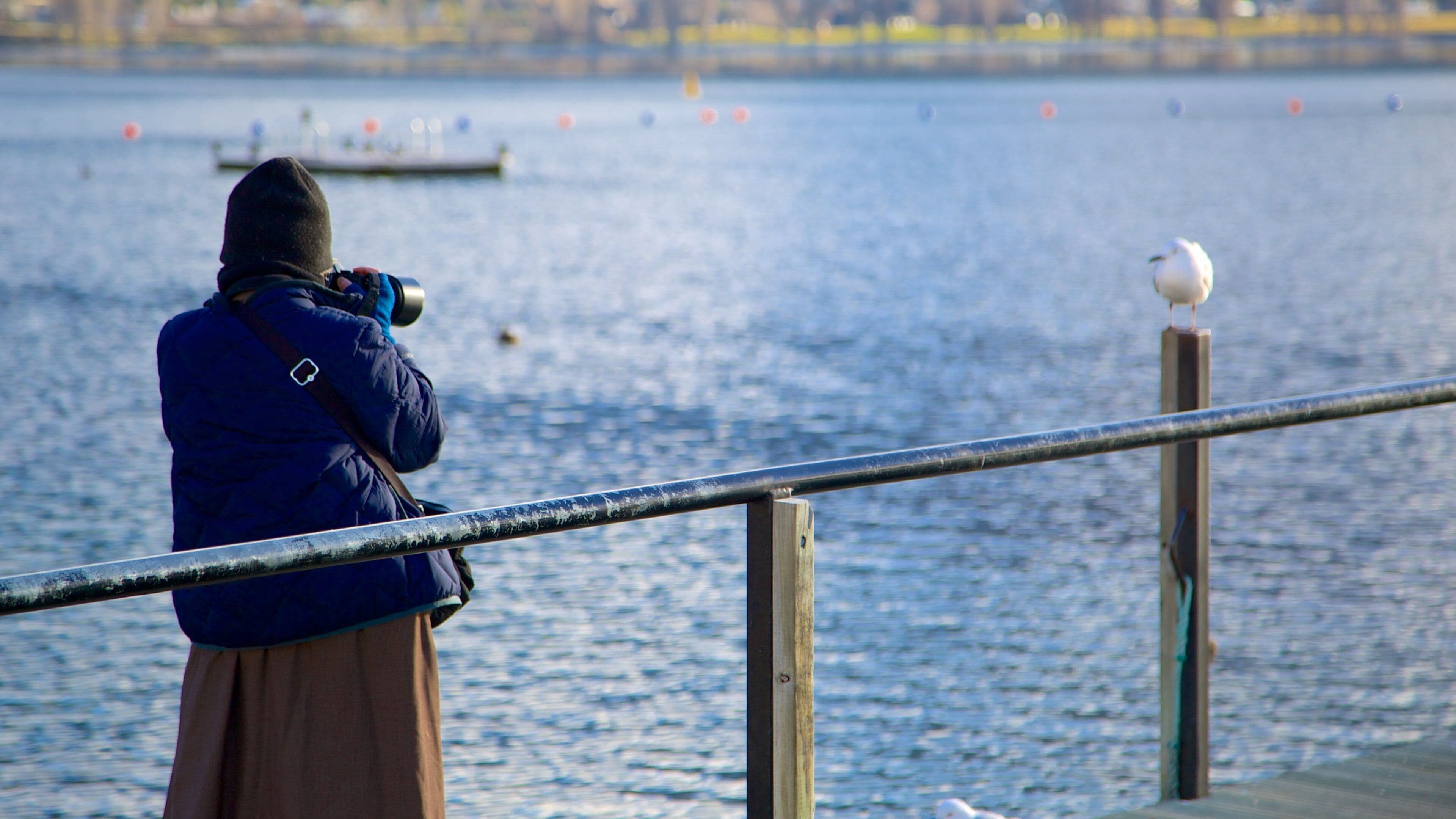 Lake Wanaka showing a lake or waterhole as well as an individual female