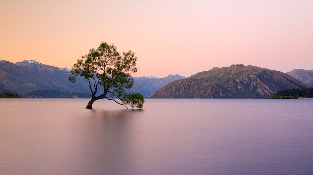 Lake Wanaka featuring mountains, a lake or waterhole and a sunset