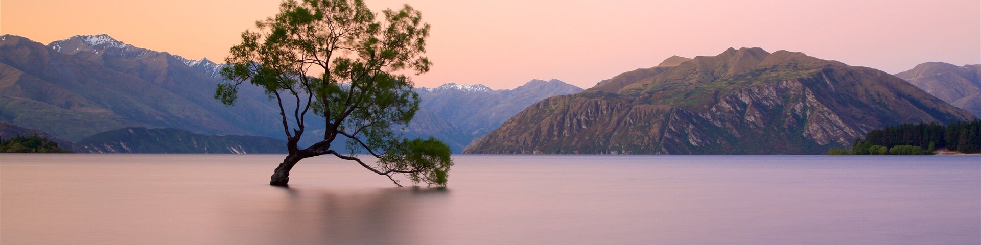 Un árbol solitario en un lago tranquilo con montañas al fondo.