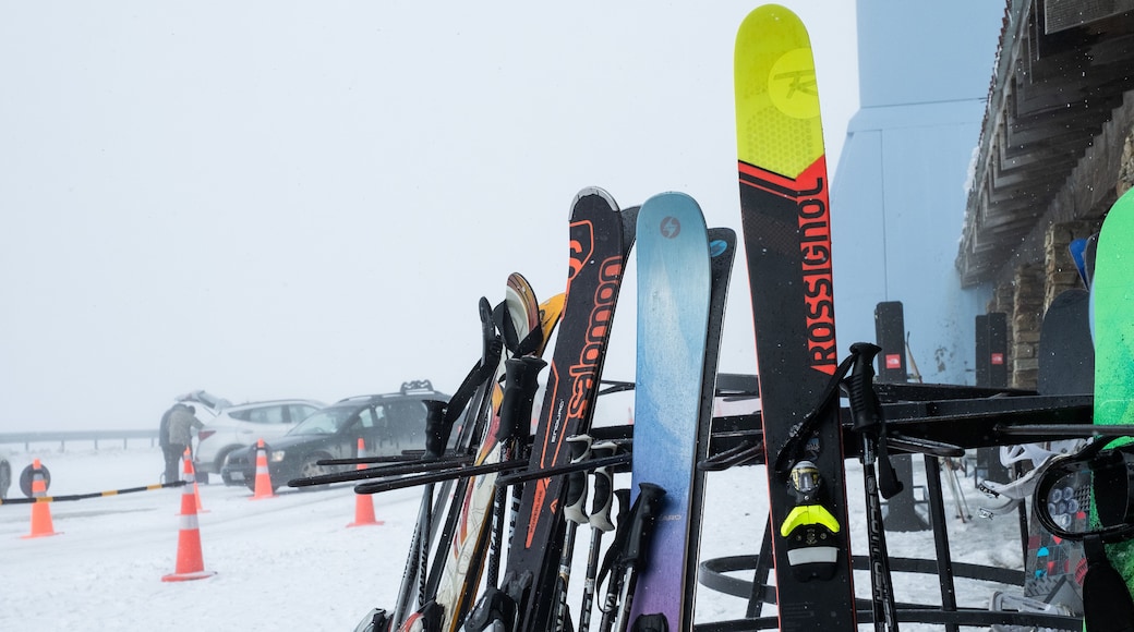 Cardrona Alpine Resort