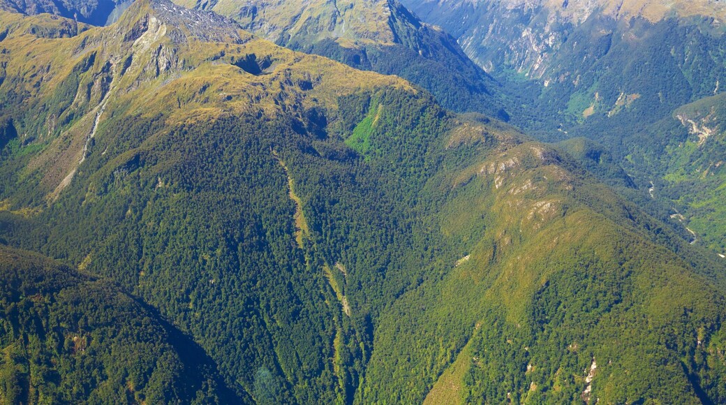 Lake Te Anau which includes mountains