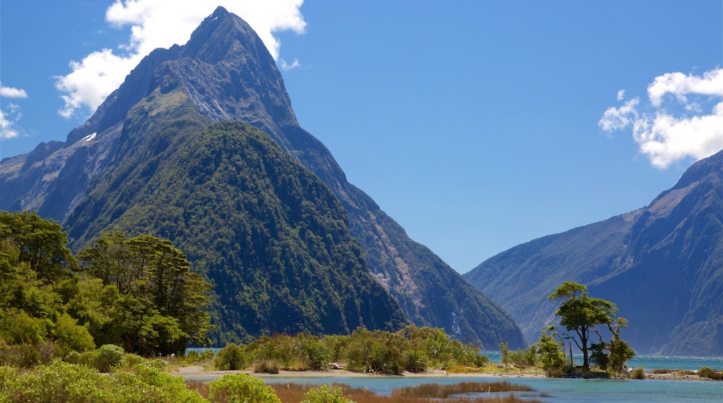 Mitre Peak inclusief een meer of poel en bergen