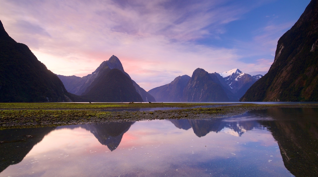 Vịnh Milford Sound trong đó bao gồm những ngọn núi, hoàng hôn và hồ nước