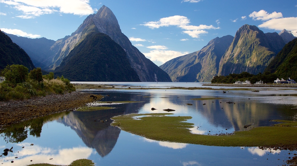 Mitre Peak inclusief bergen, een kiezelstrand en een baai of haven