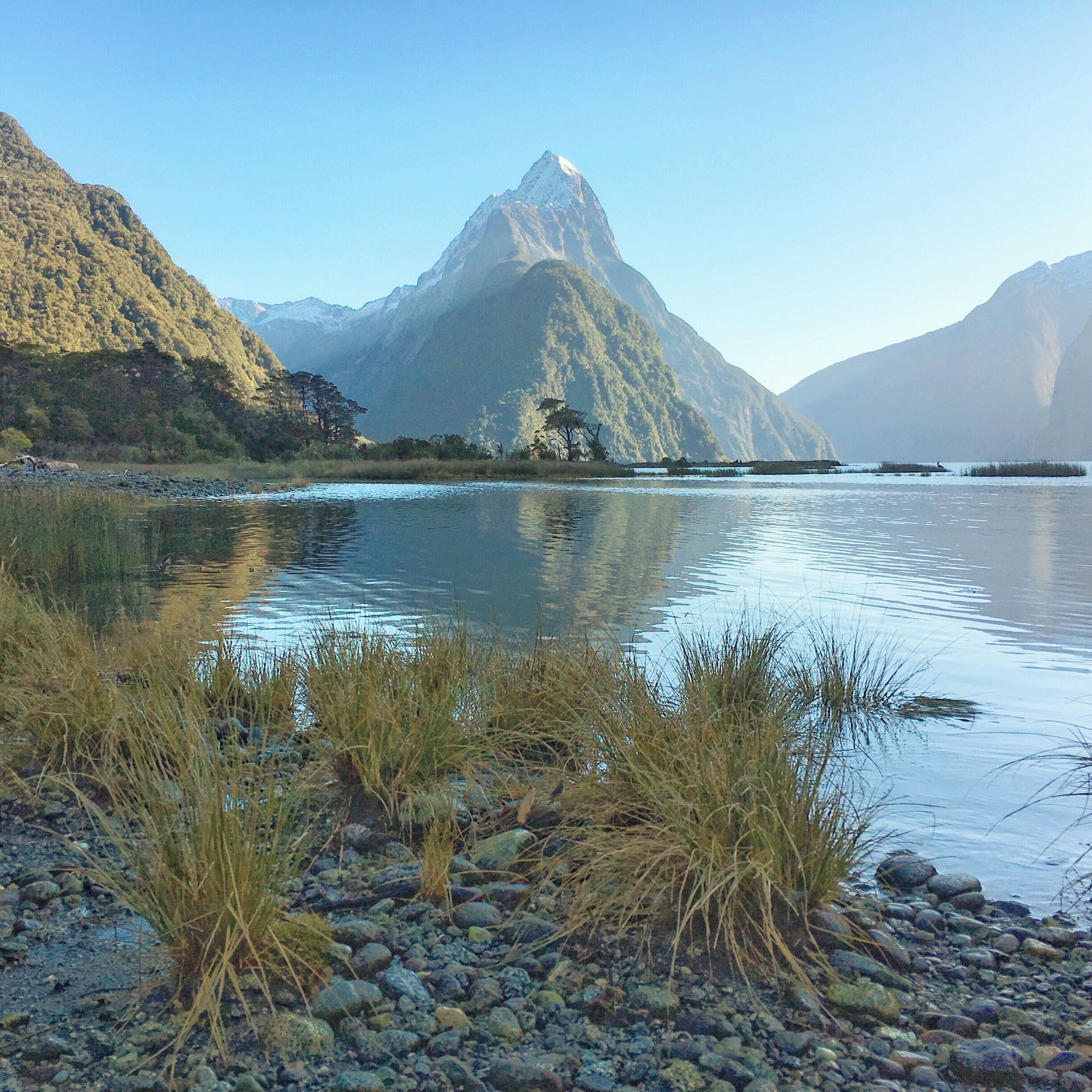 It's a 'WOW' moment every time I stand and look onto the impressive Mitre Peak, one of Milford Sounds most incredible features.

The 1,690m peak, at the gateway to Fiordland National Park, is one of the most photographed in the country.

What's not so well known is that although it appears as if it's only one peak, it's actually a series of 5 grouped together appearing as one.

#MilfordSound #NewZealand #IconicPlaces #Parks #WorldHeritageSite #TroveOn #aquatrove