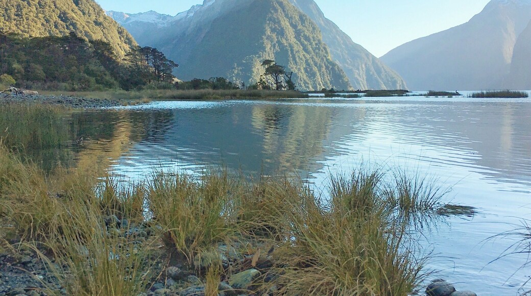 It's a 'WOW' moment every time I stand and look onto the impressive Mitre Peak, one of Milford Sounds most incredible features.
The 1,690m peak, at the gateway to Fiordland National Park, is one of the most photographed in the country.
What's not so well known is that although it appears as if it's only one peak, it's actually a series of 5 grouped together appearing as one.
#MilfordSound #NewZealand #IconicPlaces #Parks #WorldHeritageSite #TroveOn #aquatrove