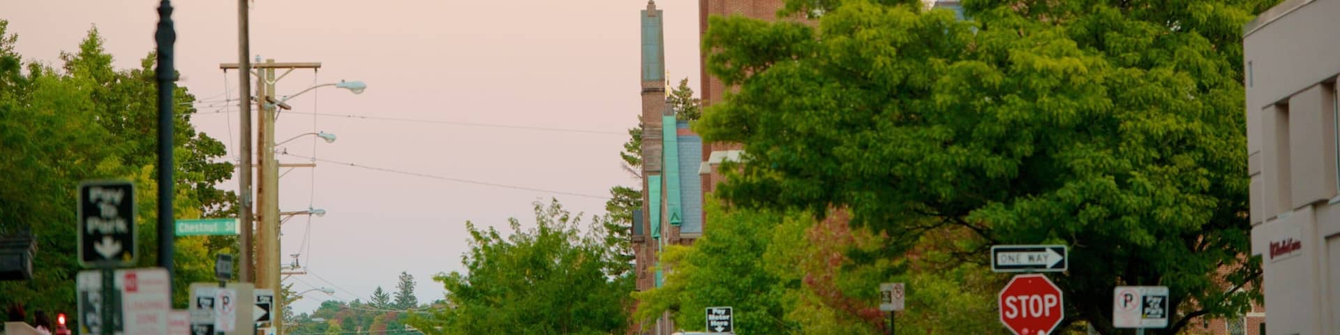 Cathedral of St Joseph which includes a church or cathedral