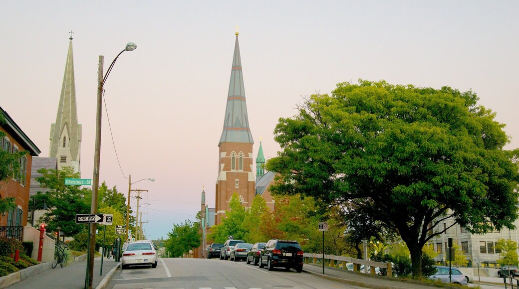 Skt. Josef-katedralen som omfatter en kirke eller en katedral, gadeliv og en lille by eller en landsby