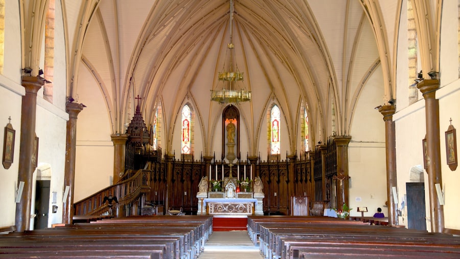 Noumea Cathedral showing a church or cathedral and interior views