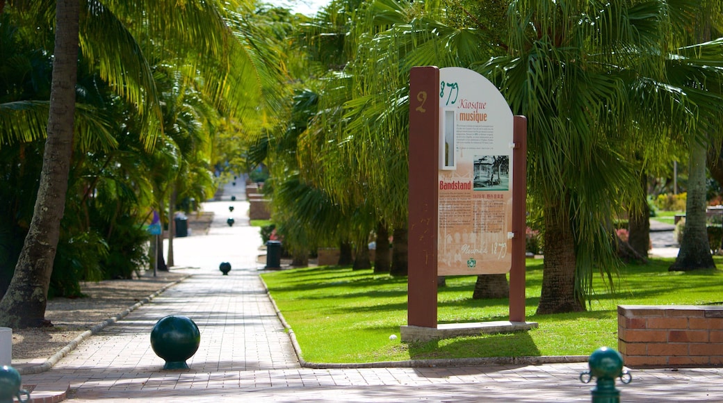 Plaza de los Cocoteros