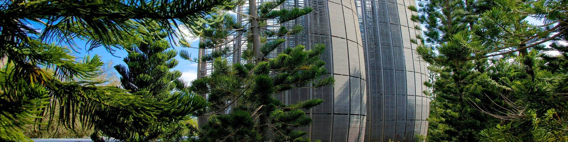 Un bâtiment moderne entouré d’une dense forêt de pins.