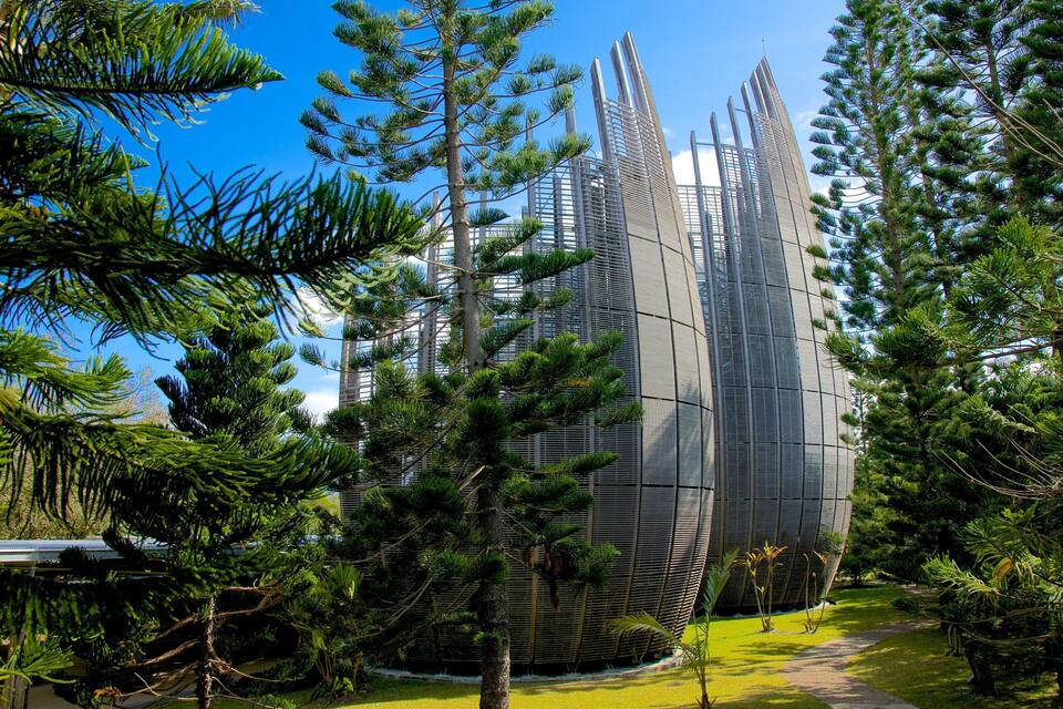 A modern building surrounded by dense pine trees.