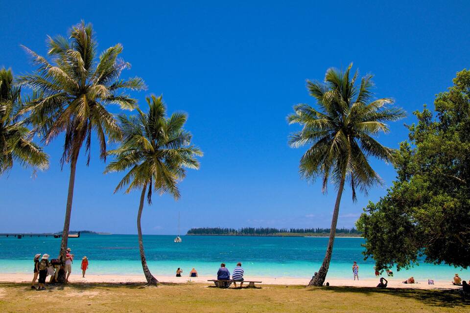 A beach with palm trees and turquoise water.