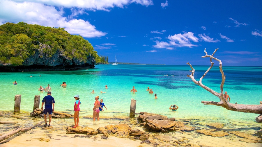 Kanumera Beach showing rugged coastline and swimming as well as a large group of people