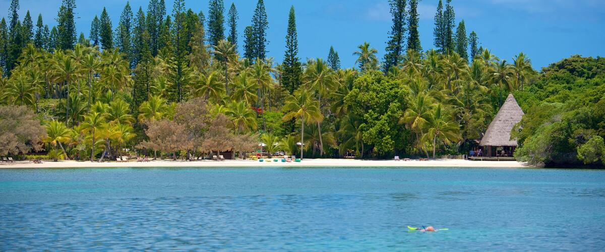 Kanumera Beach som inkluderer kyst