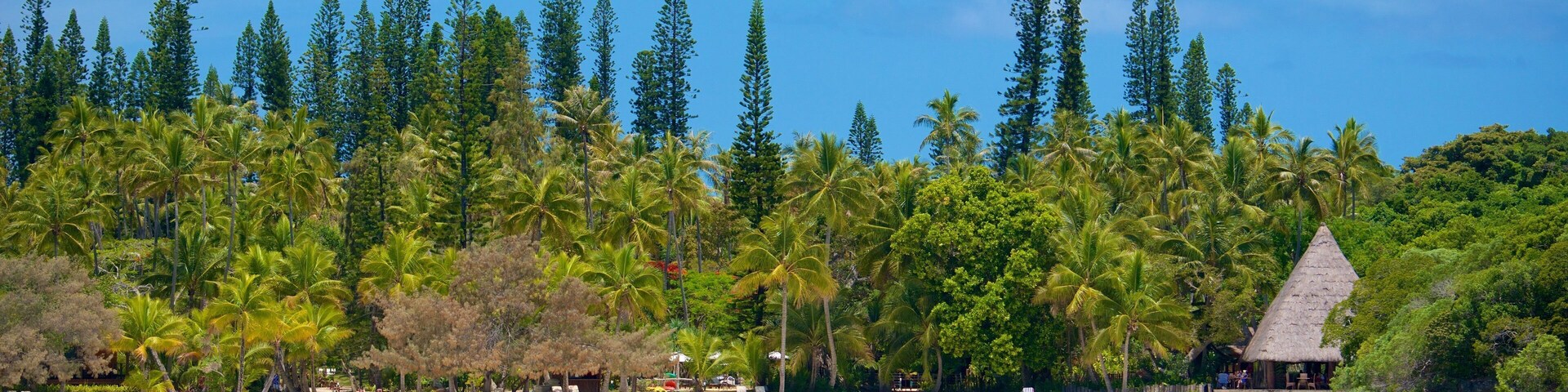 Kanumera Beach mit einem allgemeine KĂŒstenansicht