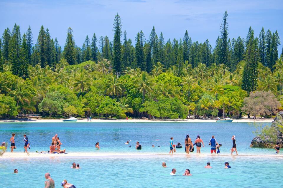 A tropical beach with clear turquoise water, palm trees, and a dense forest in the background.