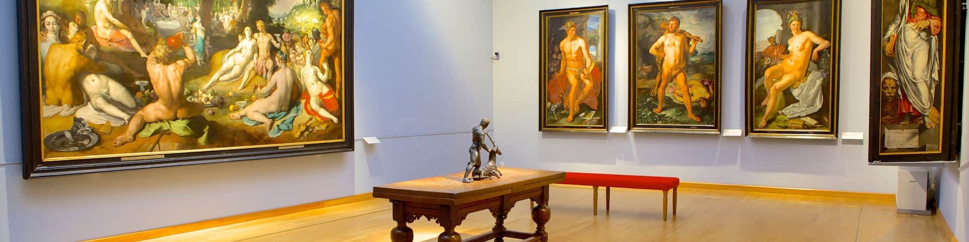 Museo Frans Hals mostrando vistas de interior y arte