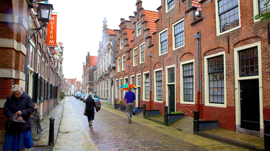 Frans Hals Museum featuring street scenes and a house as well as a small group of people