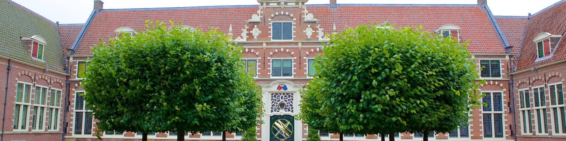 Frans Hals Museum showing a park