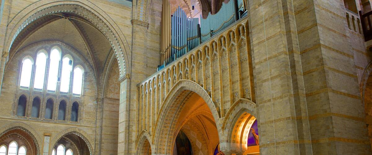 Cathedral of Saint Bavo featuring a church or cathedral, religious elements and interior views